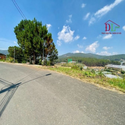 Bán đất 2 mặt tiền An Sơn phường 4 Đà Lạt view đồi thông cực đẹp