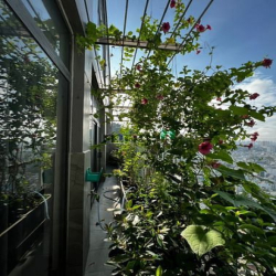 Cho thuê căn Penthouse cao cấp Xi Grand Court Q.10