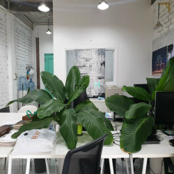 Cho thuê văn phòng tại quận Gò Vấp