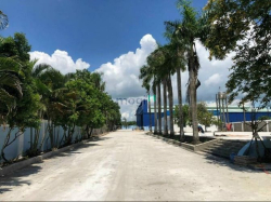 Bán nhà xưởng mới 15.000m2 Võ Thị Bàng, Phú Mỹ Hưng, Củ Chi