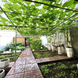 Nhà DT lớn gần Khang Điền, Phước Long B, 93m2 ngang 5m, giá 5ty nh