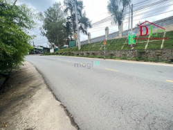 Bán đất mặt tiền Hoàng Văn Thụ phường 4 Đà Lạt tiện kinh doanh MN3263