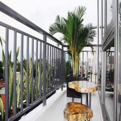 Penthouse Siêu Sang Nội Thất Cao Cấp - Ngay Pico Plaza - Cộng Hòa