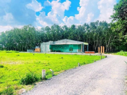 Giá chỉ 310 triệu/m2 cho lô đất thổ cư 284m2 tại Gò Dầu - Tây Ninh shr