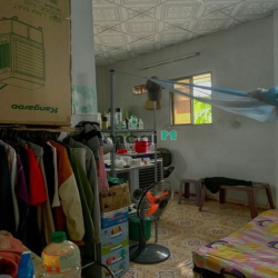 Tìm bạn sinh viên ở ghép chung