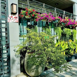 Nhà mặt tiền Xuân Hoà 2, mới đẹp lung linh, 63m2, nở hậu chỉ 4.2 tỷ TL