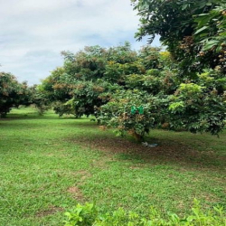 Đất ven hồ giá ngộp chủ cần bán gấp 1050m2 - giá 230t