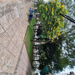 MT khu Tên Lửa 80m2 4x20 4 tầng BTCT SHR hoàn công, mới đẹp, 9.5 tỷ TL