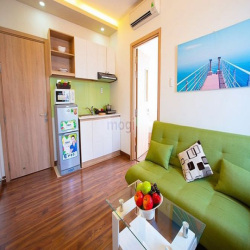 Căn hộ full nội thất cửa sổ lớn Đặng Dung gần trung tâm quận 1