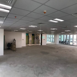 List VP khoảng từ 50 nhân sự với bãi đỗ xe rộng,tòa nhà lớn-Mizuland