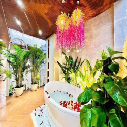 Bán Siêu Phẩm Nhà Phố Mặt Tiền Đường số 44, Phường 14, Quận Gò vấp