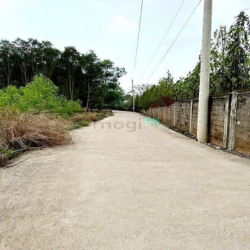 Bán gần 1 Sào full hồng, ấp 4 xã Sông Trầu, huyện Trảng Bom