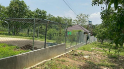 Tôi có  1 sào vườn cần bán gấp gần quốc lộ 20 KCN định quán ĐN 720tr/s