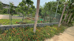 Tôi có  1 sào vườn cần bán gấp gần quốc lộ 20 KCN định quán ĐN 720tr/s