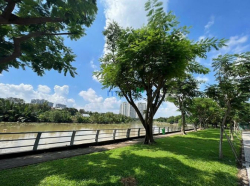 Bán đất mặt sông Quận 2 đường Lê Hữu Kiều DT 17x24 (400m2) Chỉ 102tr/m