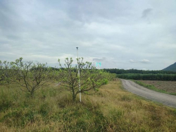 Cần bán nhanh lô đất vườn mãng cầu đang thu hoạch. View núi bà, đường