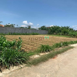 5.4*23: giá chỉ hơn 350tr tý, Đức Hiệp, Mộ Đức, Quảng Ngãi