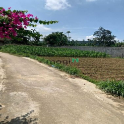 5.4*23: giá chỉ hơn 350tr tý, Đức Hiệp, Mộ Đức, Quảng Ngãi
