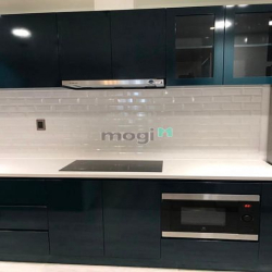 Cho thuê nhanh căn hộ PHÚ MỸ HƯNG MIDTOWN loại 2-3 phòng ngủ giá 25 tr