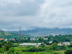 Đất gần TP.Đà Lạt giá đẹp cho nhà đầu tư