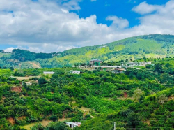 Đất gần TP.Đà Lạt giá đẹp cho nhà đầu tư