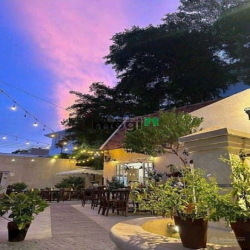 Villa cổ điển Thảo Điền Quận 2 DT 1000m2 giá 180 tỷ Thành Phố Thủ đức