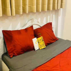 Căn hộ Penthuose Full NT ,Bancon Lê Văn Sỹ ,Tân Bình, Q3,PN