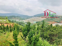 Bán đất nghỉ dưỡng 2 mặt tiền Măng Lin phường 7 Đà Lạt view đồi thông