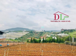 Bán đất nghỉ dưỡng 2 mặt tiền Măng Lin phường 7 Đà Lạt view đồi thông