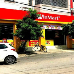 Biệt Thự Cổ Điển Lô Góc 375m², Ngang 11m Hà Huy Giáp, Quận 12 – Chỉ 21