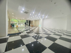 ✅ Cho Thuê MBKD Đa Ngành Mặt Tiền Lê Lai Hầm Xe Rộng Rãi