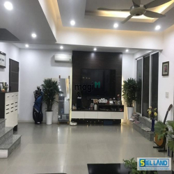 BÁN CĂN HỘ PENTHOUSE GIÁ RẺ ,phu my hung ,