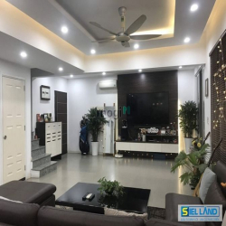 BÁN CĂN HỘ PENTHOUSE GIÁ RẺ ,phu my hung ,