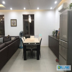 BÁN CĂN HỘ PENTHOUSE GIÁ RẺ ,phu my hung ,