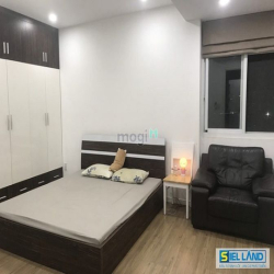 BÁN CĂN HỘ PENTHOUSE GIÁ RẺ ,phu my hung ,