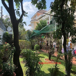 Cho thuê biệt thự 1.050m2 ngay Sông Sài Gòn, Q2 làm vp, chdv, 100tr