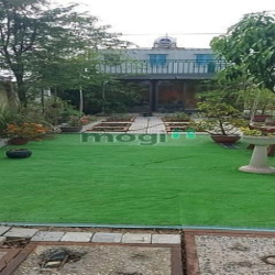 Biệt Thự Vườn Tân Bửu Giáp Bình Chánh, Đường To, Thiết Kế Hiện Đại