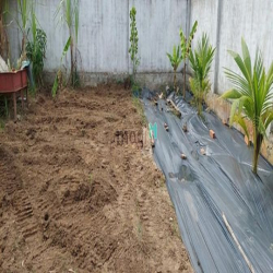 Biệt Thự Vườn Tân Bửu Giáp Bình Chánh, Đường To, Thiết Kế Hiện Đại