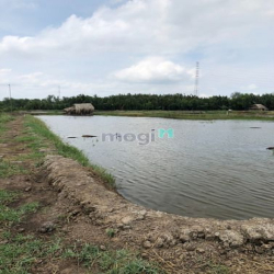 MT đường Liên Cảng Phú Hữu DT: 1703m2 thích hợp làm kho xưởng