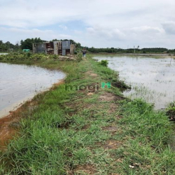 MT đường Liên Cảng Phú Hữu DT: 1703m2 thích hợp làm kho xưởng