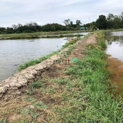 MT đường Liên Cảng Phú Hữu DT: 1703m2 thích hợp làm kho xưởng