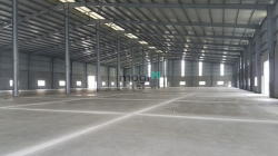 Chủ Cho Thuê Mặt Tiền Đường 25A _1,800m2 Giá Tốt Kinh Doanh Ngay