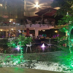 Cho thuê nguyên căn nhà sân vườn 600m2 trệt 3 lầu Huỳnh Văn Bánh PN