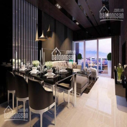*PENHOUSE nhà thô Sunrise City South DTSD 800m2, Bán 28 tỷ TL