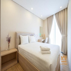 Penhous view đẹp 1PN tại quận1 giá rẻ