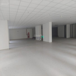 Cho thuê Nhà MT 400m2 nguyên căn đường Trần Quang Diệu, Quận 3