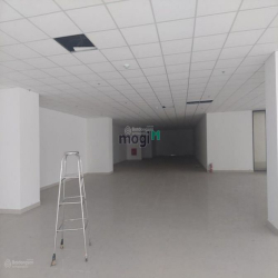 Cho thuê Nhà MT 400m2 nguyên căn đường Trần Quang Diệu, Quận 3