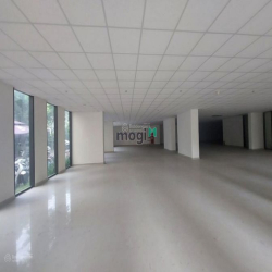 Cho thuê Nhà MT 400m2 nguyên căn đường Trần Quang Diệu, Quận 3