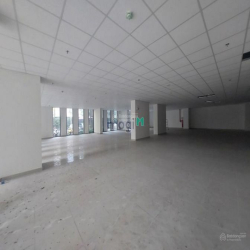Cho thuê Nhà MT 400m2 nguyên căn đường Trần Quang Diệu, Quận 3