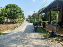 Cần bán đất có thổ cư gần trường THPT Trảng Bàng Tây Ninh